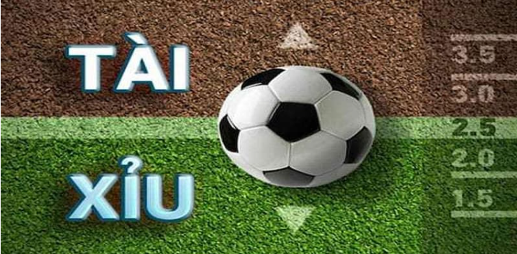 Tài xỉu bóng đá go99 thu hút đông đảo từ nhiều tay chơi hàng đầu